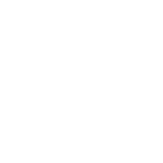 Void Logo